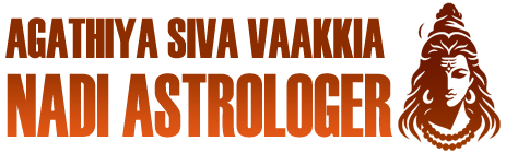 Website Main Logo